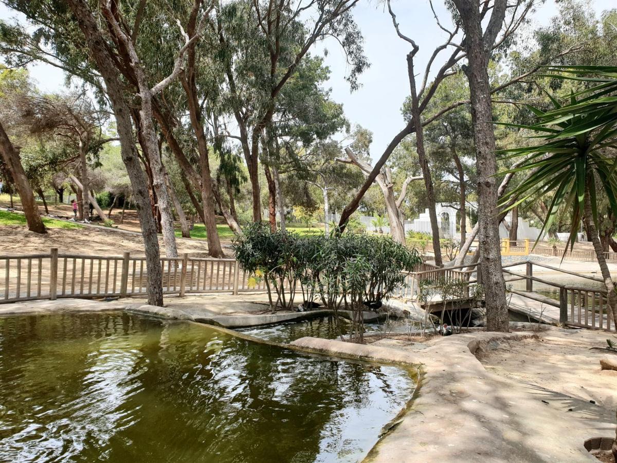 Apartamento Parque Sur Guardamar del Segura Ngoại thất bức ảnh